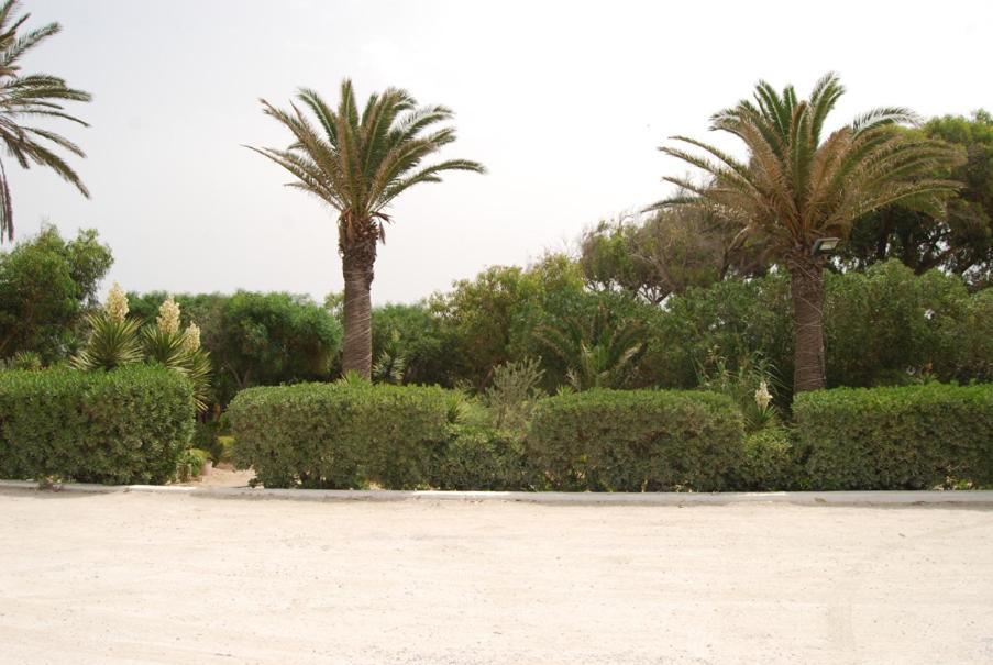 Hotel El Andalous Soliman Екстериор снимка