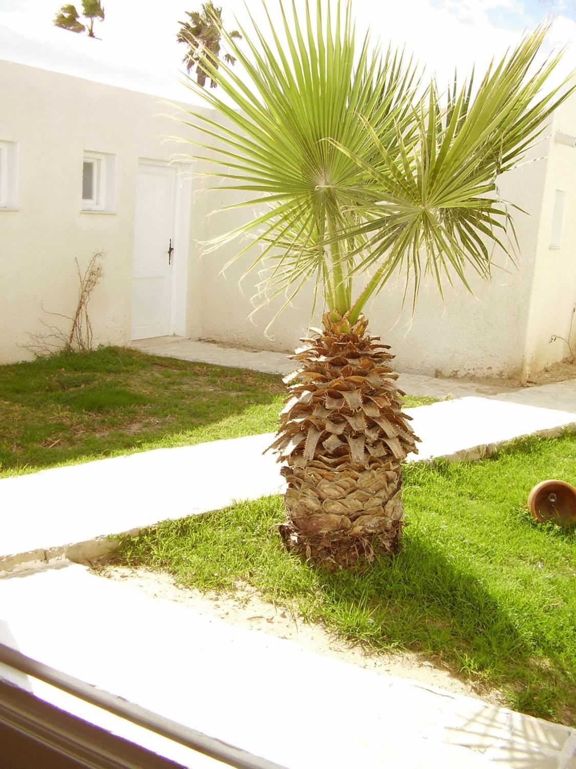 Hotel El Andalous Soliman Екстериор снимка